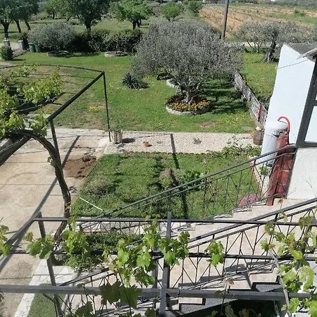 Elena * ベンコヴァツ