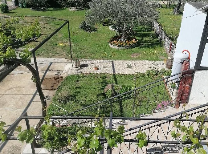 Elena * Бенковац